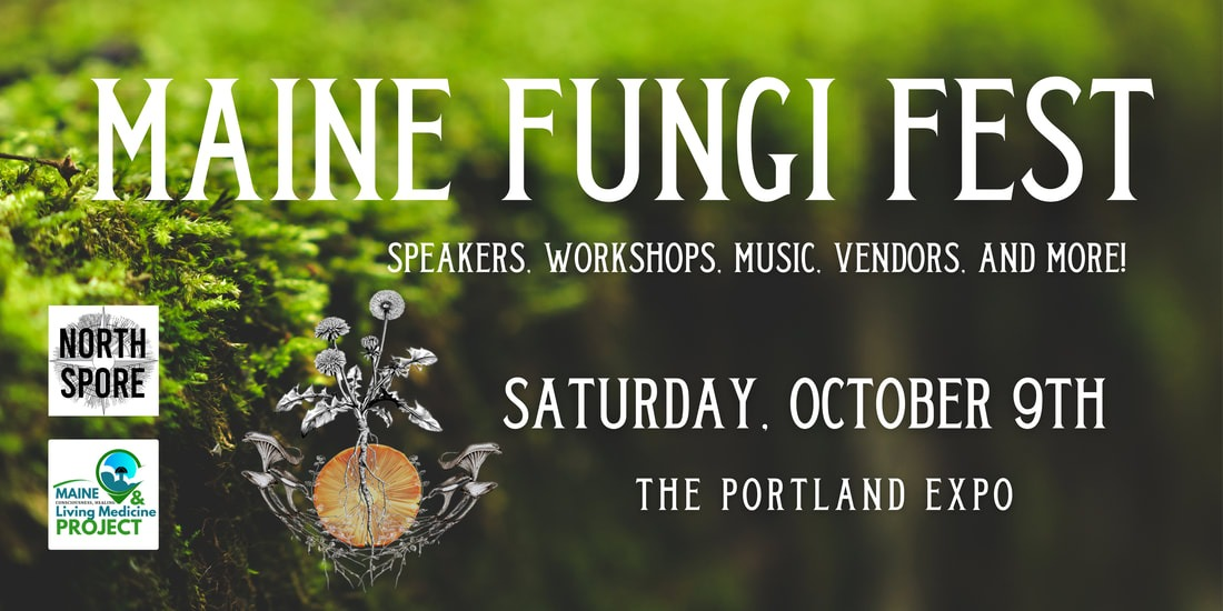 Maine Fungi Fest