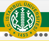 Istanbul University