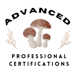 Advanced Professional Certifications