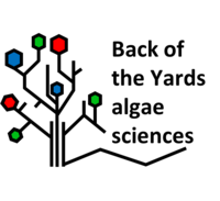 Back of the Yards Algae Sciences
