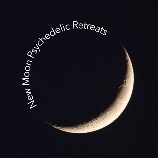 New Moon Psychedelic Retreats