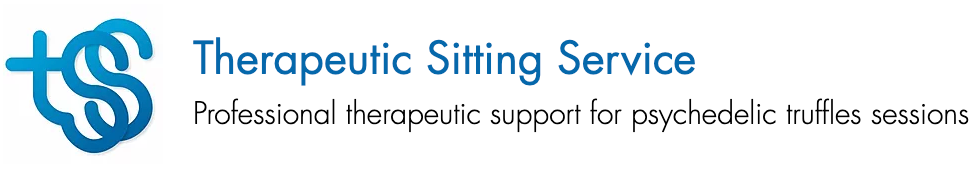 Therapeutic Sitting Service