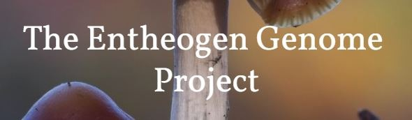 The Entheogen Genome Project